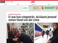 Bild zum Artikel: Er war kurz eingenickt, da klaute jemand seinen Hund von der Leine