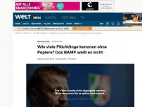 Bild zum Artikel: Schätzung: Wie viele Flüchtlinge kommen ohne Papiere? Das BAMF weiß es nicht