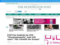 Bild zum Artikel: FDP-Vize Kubicki im ZDF-'Morgenmagazin' zum Fall Amri: 'Mir schwillt der Kamm'
