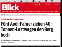 Bild zum Artikel: Im Schnee stecken geblieben: Fünf Audi-Fahrer ziehen 40-Tonnen Lastwagen den Berg hoch