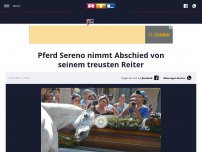 Bild zum Artikel: Pferd Sereno nimmt Abschied von seinem treusten Reiter