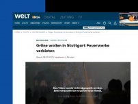 Bild zum Artikel: Wegen Feinstaub  : Grüne wollen in Stuttgart Feuerwerke verbieten