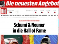 Bild zum Artikel: BILD-Leser haben gewählt - Schumi & Neuner in die Hall of Fame