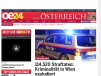 Bild zum Artikel: 114.520 Straftaten: Kriminalität in Wien explodiert