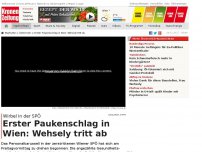 Bild zum Artikel: Erster Paukenschlag in SPÖ Wien: Wehsely tritt ab