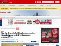 Bild zum Artikel: Köln - Wo ist Bonnie?: Hündin gestohlen – Gassigänger mit Pfefferspray angegriffen