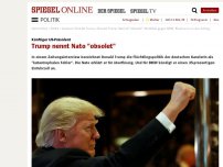 Bild zum Artikel: Künftiger US-Präsident: Trump nennt Nato 'obsolet'