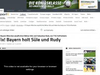 Bild zum Artikel: Fix! Bayern verpflichtet Süle und Rudy