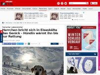 Bild zum Artikel: Tierischer Lebensretter - Herrchen bricht sich in Eiseskälte das Genick - Hündin wärmt ihn bis zur Rettung