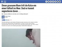 Bild zum Artikel: Dieser grausame Mann tritt die Katze wie einen Fußball ins Meer. Doch er kommt ungeschoren davon …