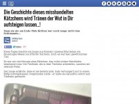 Bild zum Artikel: Die Geschichte dieses misshandelten Kätzchens wird Tränen der Wut in Dir aufsteigen lassen...!