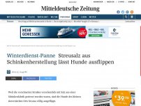 Bild zum Artikel: Winterdienst-Panne: Streusalz aus Schinkenherstellung lässt Hunde ausflippen