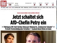 Bild zum Artikel: „Denkmal der Schande“ - AfD-Chef Björn Höcke empört mit Nazi-Rede