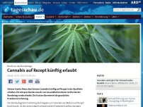 Bild zum Artikel: Bundestag beschließt Freigabe von Cannabis auf Rezept