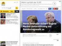 Bild zum Artikel: Horst Seehofer sichert Angela Merkel Unterstützung bei Bundestagswahl zu