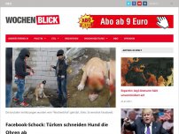 Bild zum Artikel: Facebook-Schock: Türken schneiden Hund die Ohren ab