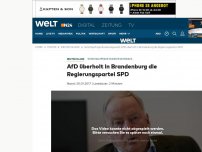 Bild zum Artikel: Partei auf 20 Prozent: AfD überholt in Brandenburg die Regierungspartei SPD