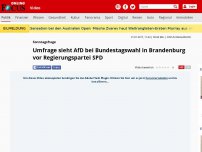 Bild zum Artikel: Sonntagsfrage  - Umfrage sieht AfD bei Bundestagswahl in Brandenburg vor Regierungspartei SPD