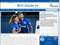Bild zum Artikel: Last-Minute-Tor von Burgstaller sichert den Sieg