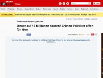 Bild zum Artikel: 'Umfassende Analyse' gefordert - Grünen-Politiker wollen 13 Millionen Katzen in Deutschland besteuern