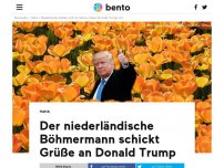 Bild zum Artikel: Der niederländische Böhmermann schickt Grüße an Trump