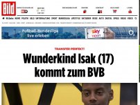 Bild zum Artikel: Transfer perfekt! - Wunderkind Isak (17) kommt zum BVB