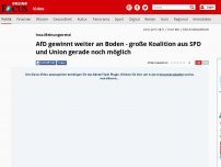 Bild zum Artikel: Insa-Meinungstrend - AfD gewinnt weiter an Boden - große Koalition aus SPD und Union gerade noch möglich