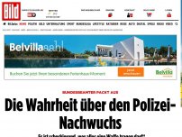 Bild zum Artikel: Beamter über Nachwuchs - Immer dümmer, und die Polizei erlaubt’s