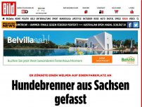 Bild zum Artikel: Er zündete einen Welpen an - Hundebrenner aus Sachsen gefasst