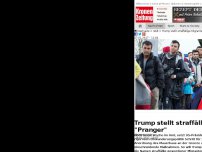 Bild zum Artikel: Trump stellt straffällige Migranten an 'Pranger'
