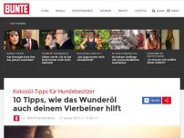 Bild zum Artikel: Kokosöl: 10 Tipps, wie das Wunderöl auch eurem Vierbeiner hilft