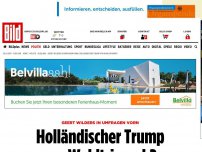 Bild zum Artikel: Wilders in Umfragen vorn - Holländischer Trump vor Wahltriumph?