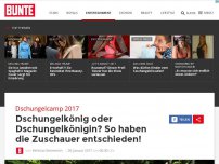 Bild zum Artikel: Dschungelcamp 2017: So haben die Zuschauer entschieden!