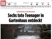 Bild zum Artikel: Horrorfund - Sechs tote Teenager in Gartenlaube entdeckt