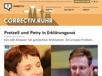 Bild zum Artikel: Pretzell und Petry in Erklärungsnot