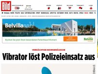 Bild zum Artikel: Kurios! - Vibrator löst Polizeieinsatz aus