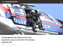 Bild zum Artikel: Großaufgebot der Polizei sucht nach Oaschloch, das um drei Uhr früh Schnee geräumt hat