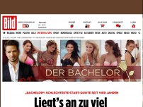 Bild zum Artikel: Miese „Bachelor“-Quote - Liegt’s an zu viel Dumpfbacken-Talk?