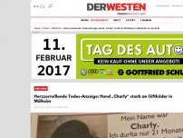 Bild zum Artikel: Herzzerreißende Todes-Anzeige: Hund „Charly“ starb an Giftköder in Mülheim
