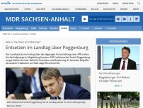 Bild zum Artikel: Debatte im Landtag - Entsetzen über Poggenburg
