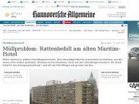 Bild zum Artikel: Müllproblem: Rattenbefall am alten Maritim-Hotel