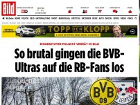 Bild zum Artikel: Polizist verrät in BILD - So brutal gingen die BVB- Ultras auf die RB-Fans los