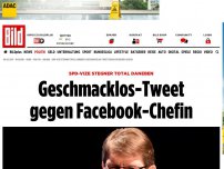 Bild zum Artikel: SPD-Vize Ralf Stegner - Geschmacklos-Tweet gegen Facebook-Chefin
