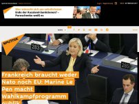 Bild zum Artikel: Frankreich braucht weder Nato noch EU: Marine Le Pen macht Wahlkampfprogramm publik