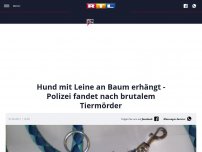 Bild zum Artikel: Hund mit Leine an Baum erhängt - Polizei fandet nach brutalem Tiermörder