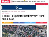 Bild zum Artikel: Drama in Meidling: Brutale Tierquälerei: Besitzer wirft Hund aus 4. Stock