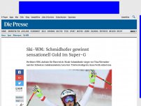 Bild zum Artikel: Ski-WM: Schmidhofer gewinnt sensationell Gold im Super-G