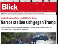 Bild zum Artikel: Mexikos Drogenmafia ist sein tödlichster Gegner: Narcos stellen sich gegen Trump