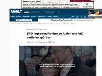 Bild zum Artikel: Schulz-Effekt: SPD legt neun Punkte zu, Union und AfD verlieren spürbar