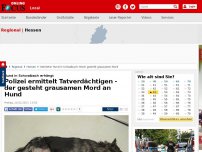 Bild zum Artikel: Hund in Schwalbach erhängt - Polizei ermittelt Tatverdächtigen - der gesteht grausamen Mord an Hund